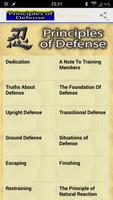 The Principles of Defense poster