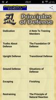 Poster The Principles of Defense