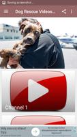 Dog Rescue Videos App Affiche