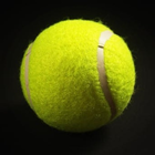 Championship Tennis 2019 App icono