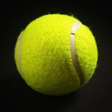 Championship Tennis 2019 App icon