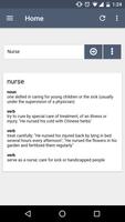 Writer's Dictionary Pro Plakat