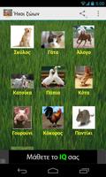Poster Ήχοι ζώων