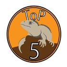 TOP 5 Taupo Coffee icône