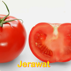 آیکون‌ Info Jerawat