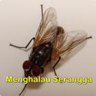 ikon Menghalau Serangga