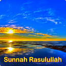 APK Sunnah Rasulullah