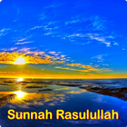 Sunnah Rasulullah icône