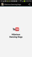 Hilarious Dancing Dogs Affiche