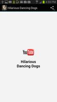 Hilarious Dancing Dogs 포스터