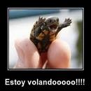 Imagenes Graciosas para Wasap aplikacja