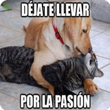 Imagenes Chulas icono