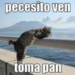 Humor
