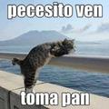 Humor