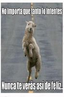 Humor Affiche