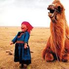 Imagenes Locas Zeichen