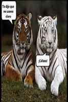 Imagenes Locas Plakat