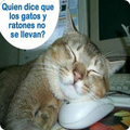 Imagenes Locas para Wasap