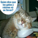 Imagenes Locas para Wasap aplikacja