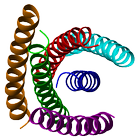 Coil آئیکن