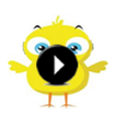 El Pollito