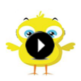 The Pio Chick 아이콘