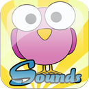 Bird Sounds APK