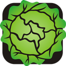 33 Diabetic Recipes APK