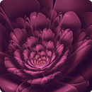 Fantasy Wallpapers APK