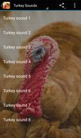 Turkey Sounds Plakat