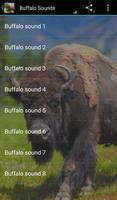 Buffalo Sounds Affiche