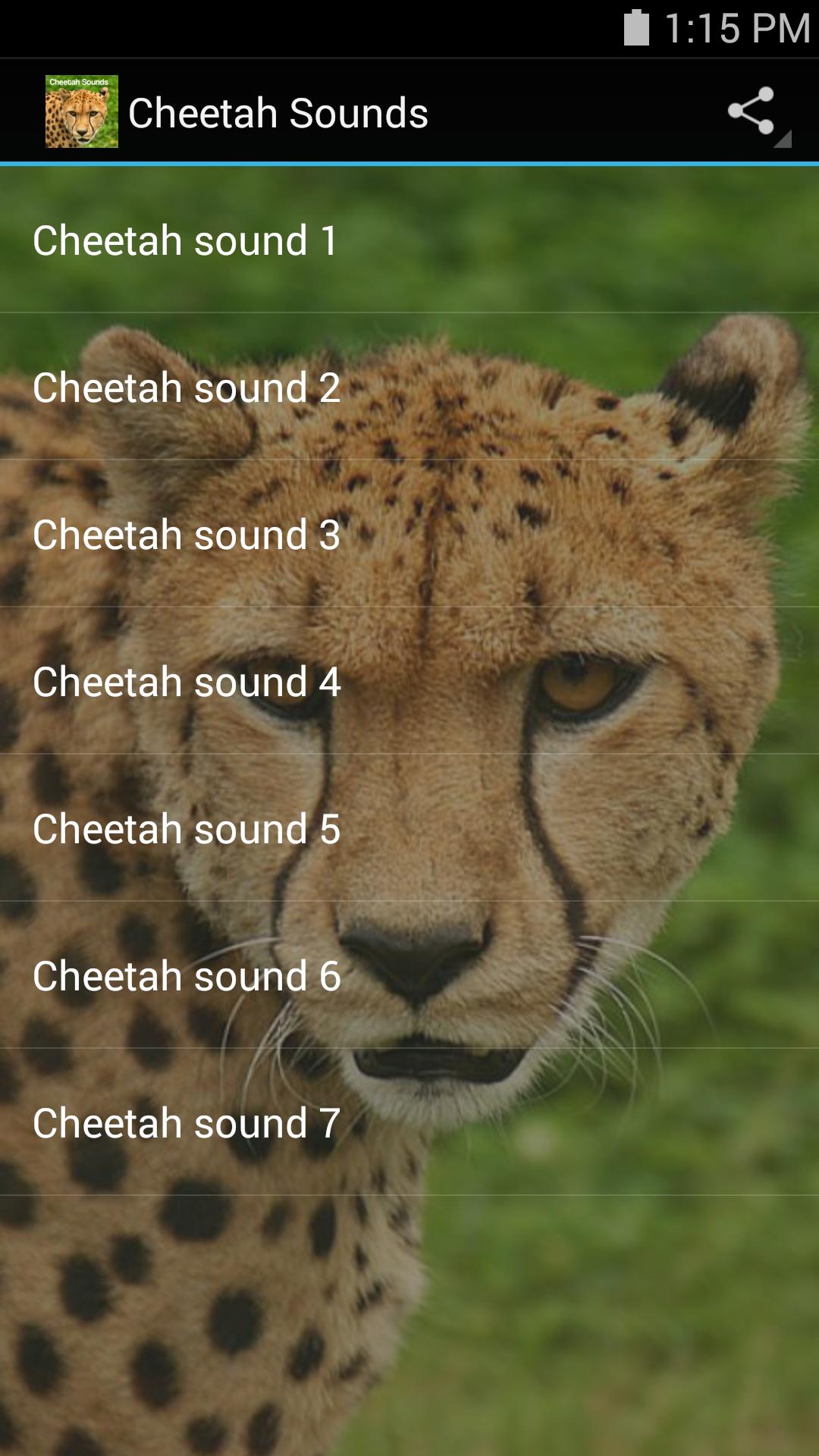 Cheetah Sounds for Android - APK Download