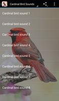Cardinal Bird Sounds Affiche
