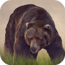 Sons d'ours APK