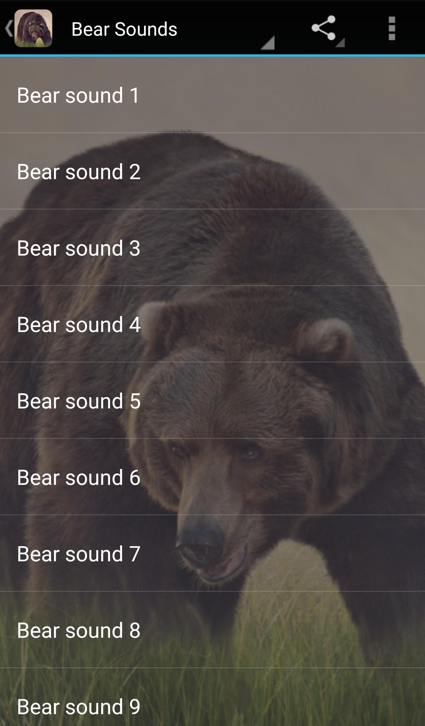 Какими словами можно заменить звуки медведя. Звук медведя. Sound Медвежий. Бурый медведь звуки. Медведь издает звук.