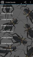 Cricket Sounds capture d'écran 2