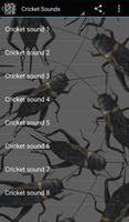 Cricket Sounds screenshot 2
