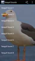 Seagull Sounds Affiche
