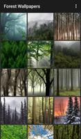 Forest Wallpapers Affiche