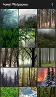 Forest Wallpapers постер