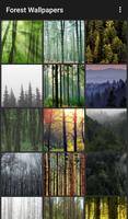 Forest Wallpapers স্ক্রিনশট 1