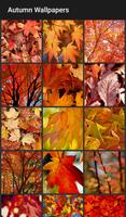 Autumn Wallpapers Affiche