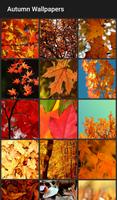 Autumn Wallpapers captura de pantalla 1