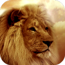 Lion Wallpapers APK