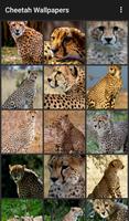 Cheetah Wallpapers imagem de tela 1
