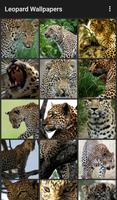 Leopard Wallpapers スクリーンショット 1