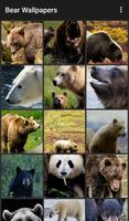 Bear Wallpapers تصوير الشاشة 1