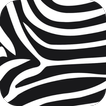 ”Zebra Print Wallpapers