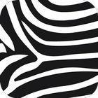 Zebra Print Wallpapers icône