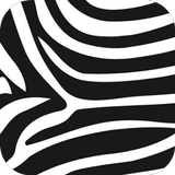 Zebra Print Wallpapers ไอคอน
